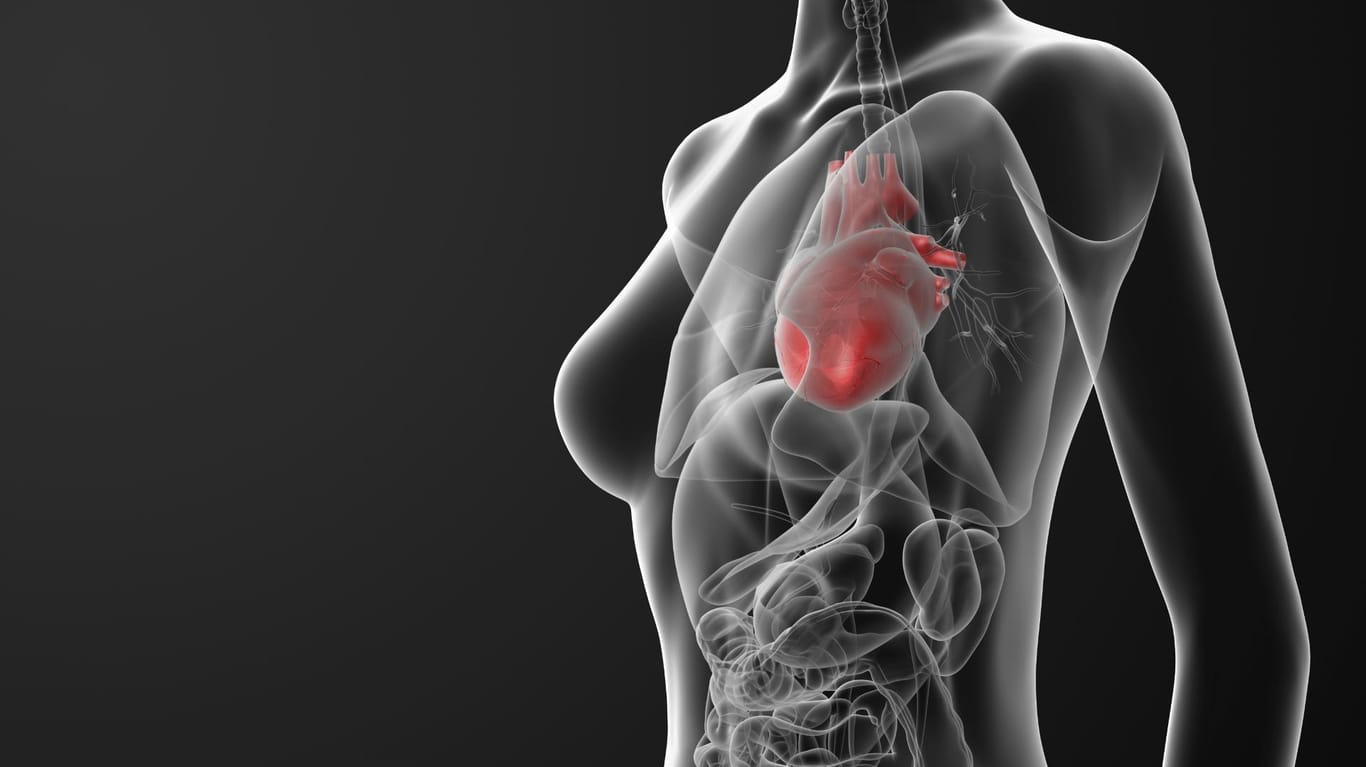 Frauen haben ein anderes Herzinfarkt-Risiko als Männer. Dabei spielen bestimmte Risikofaktoren eine wichtige Rolle.