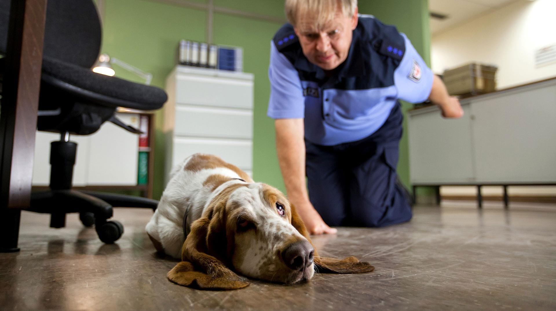 Einfallslose Story und peinlicher Running Gag: Bei diesem "Polizeiruf" verdrehte selbst der Revierhund die Augen.