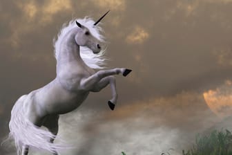 Die Menschen stellten sich Einhörner nicht immer als weißes Pferd mit langem Horn vor.
