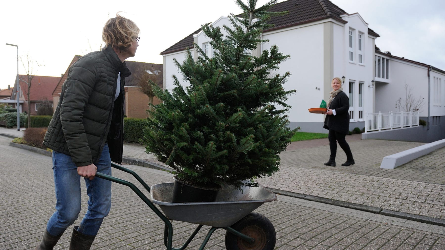 Weihnachtsbaum mieten statt kaufen