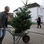 Weihnachtsbaum mieten statt kaufen