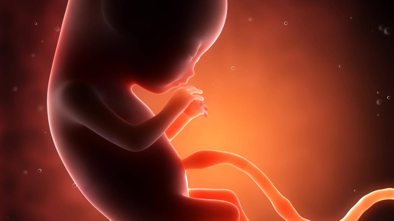 Die Nabelschnur versorgt das ungeborene Kind mit Sauerstoff und Nährstoffen. Sie ist elastisch und weich und verträgt normalerweise problemlos die Turnübungen des Babys.