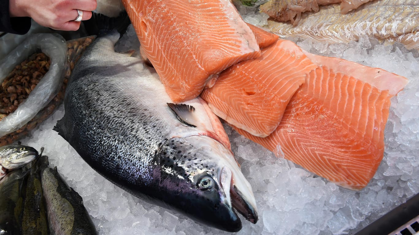 Norwegisches Lachsfilet vom Wochenmarkt. Der Lachs steht auf der Liste gefährdeter Fischarten.