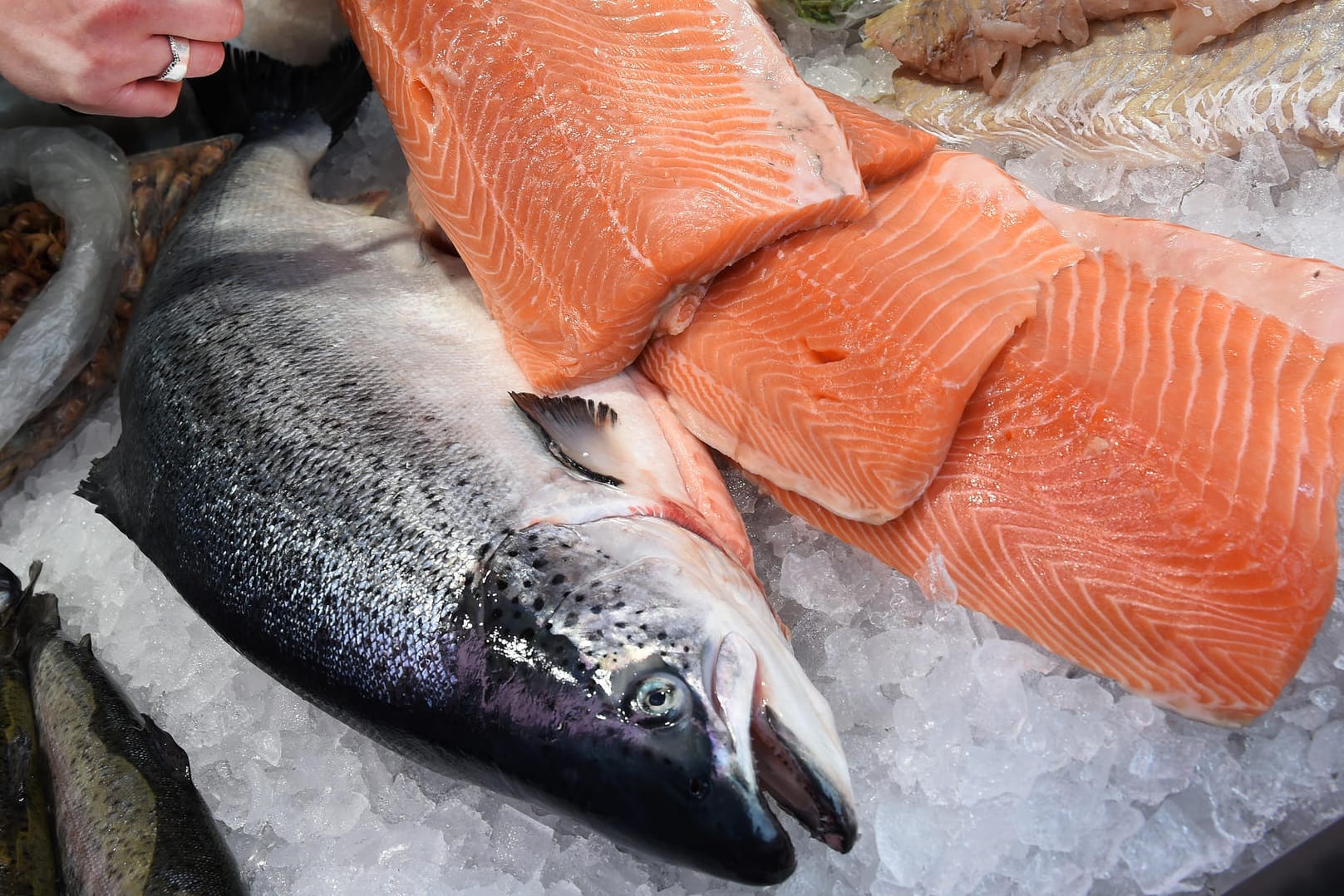 Norwegisches Lachsfilet vom Wochenmarkt. Der Lachs steht auf der Liste gefährdeter Fischarten.