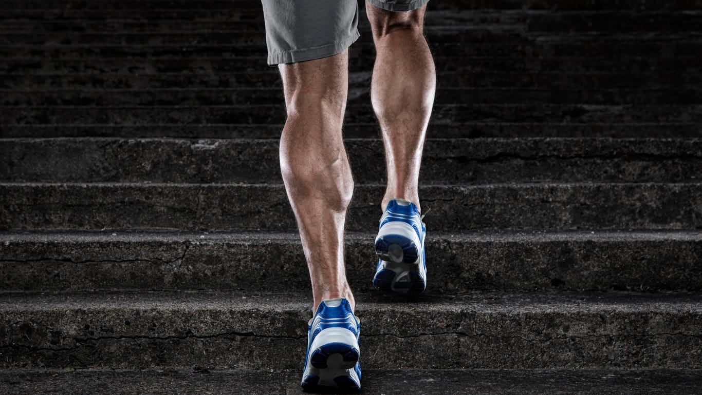Diese muskulösen Beine können sich sehen lassen.