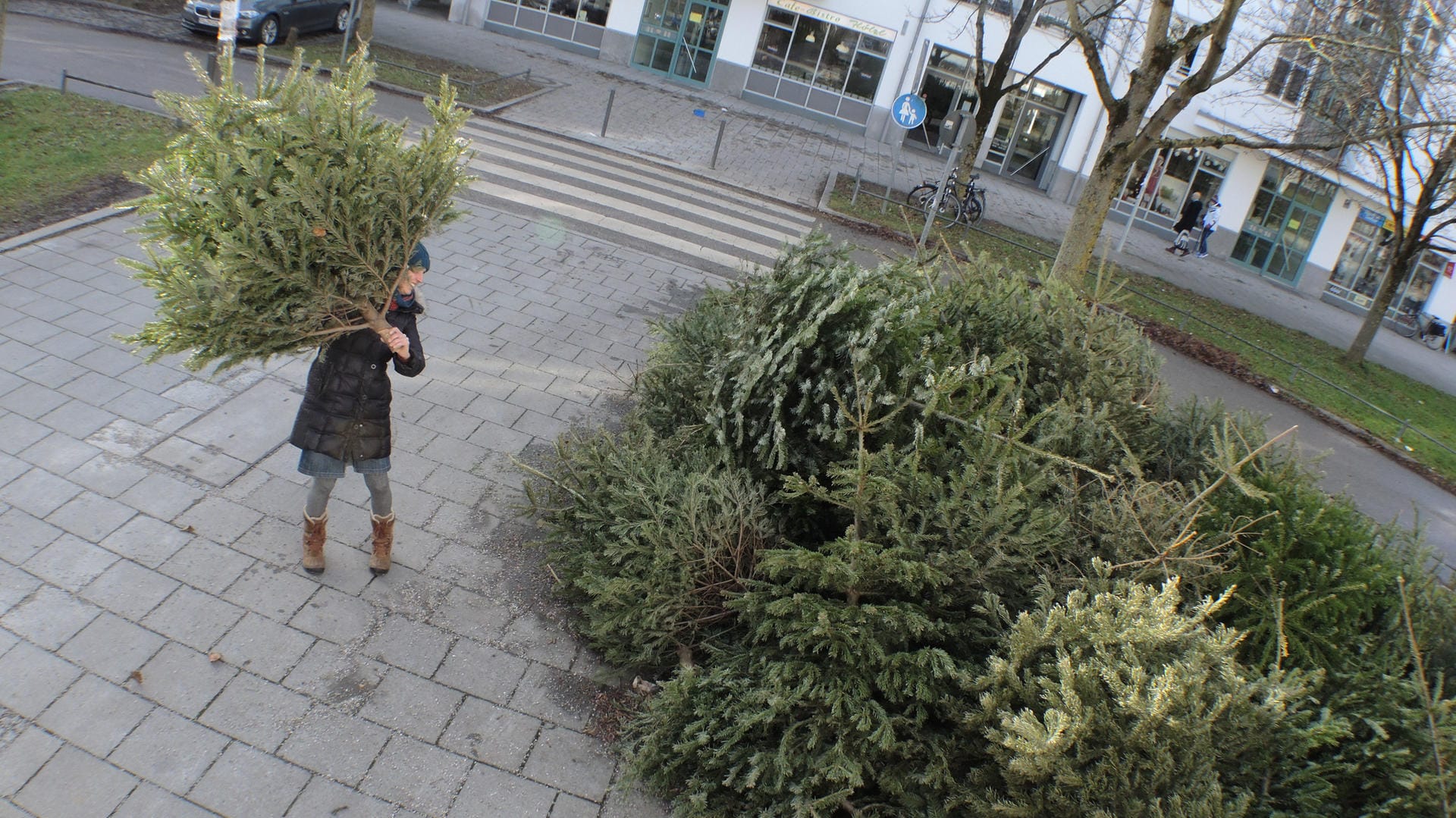 Den Weihnachtsbaum sinnvoll entsorgen - Tipps.