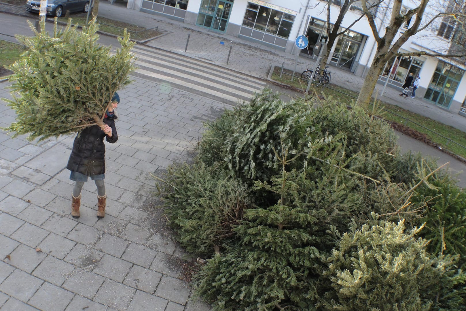 Den Weihnachtsbaum sinnvoll entsorgen - Tipps.