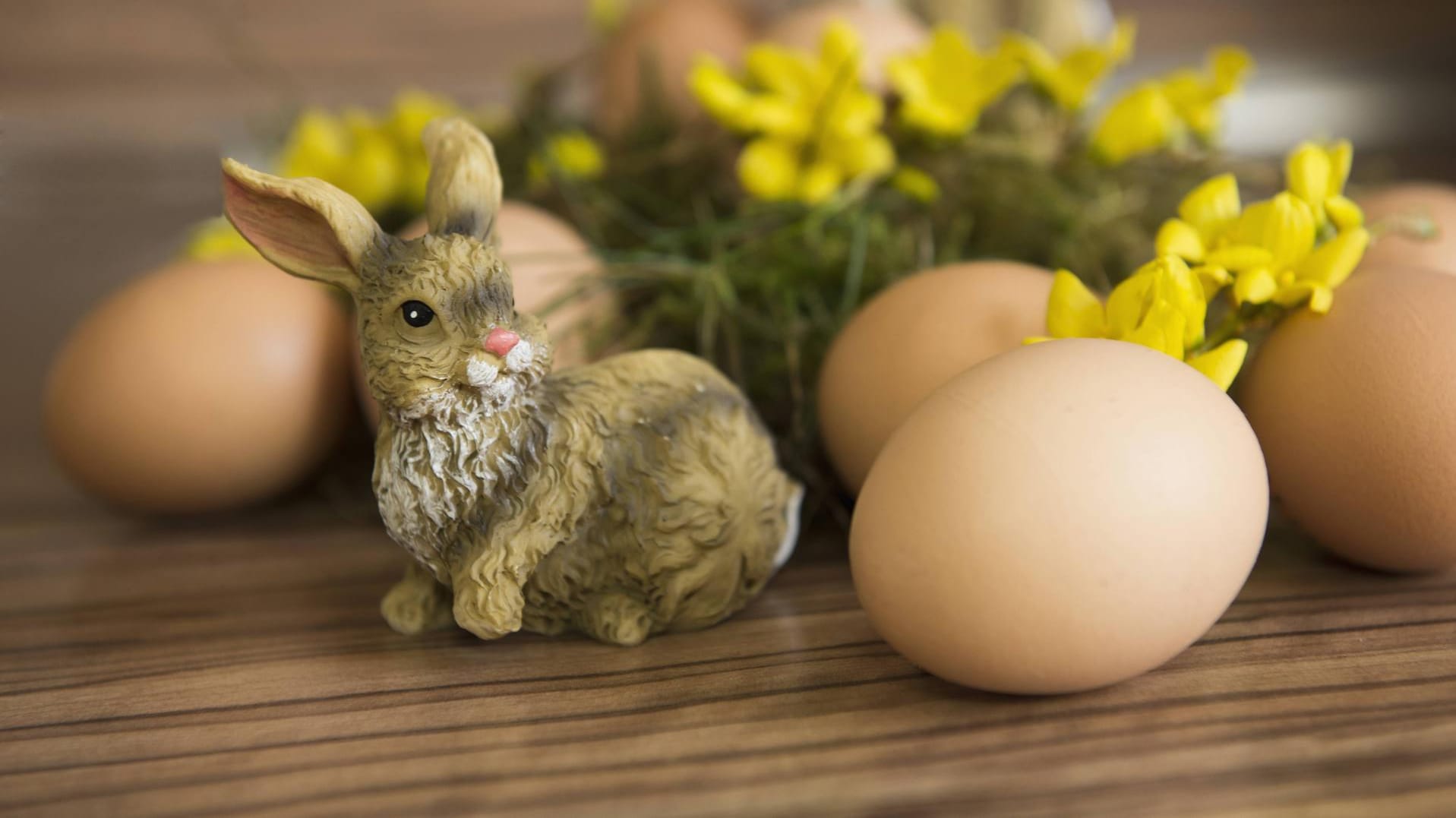 Diese Ostereier müssen noch gefärbt werden. Natürlich vom Osterhasen. (Kleiner Tipp: Weiße Eier nehmen die Farbe besser an).