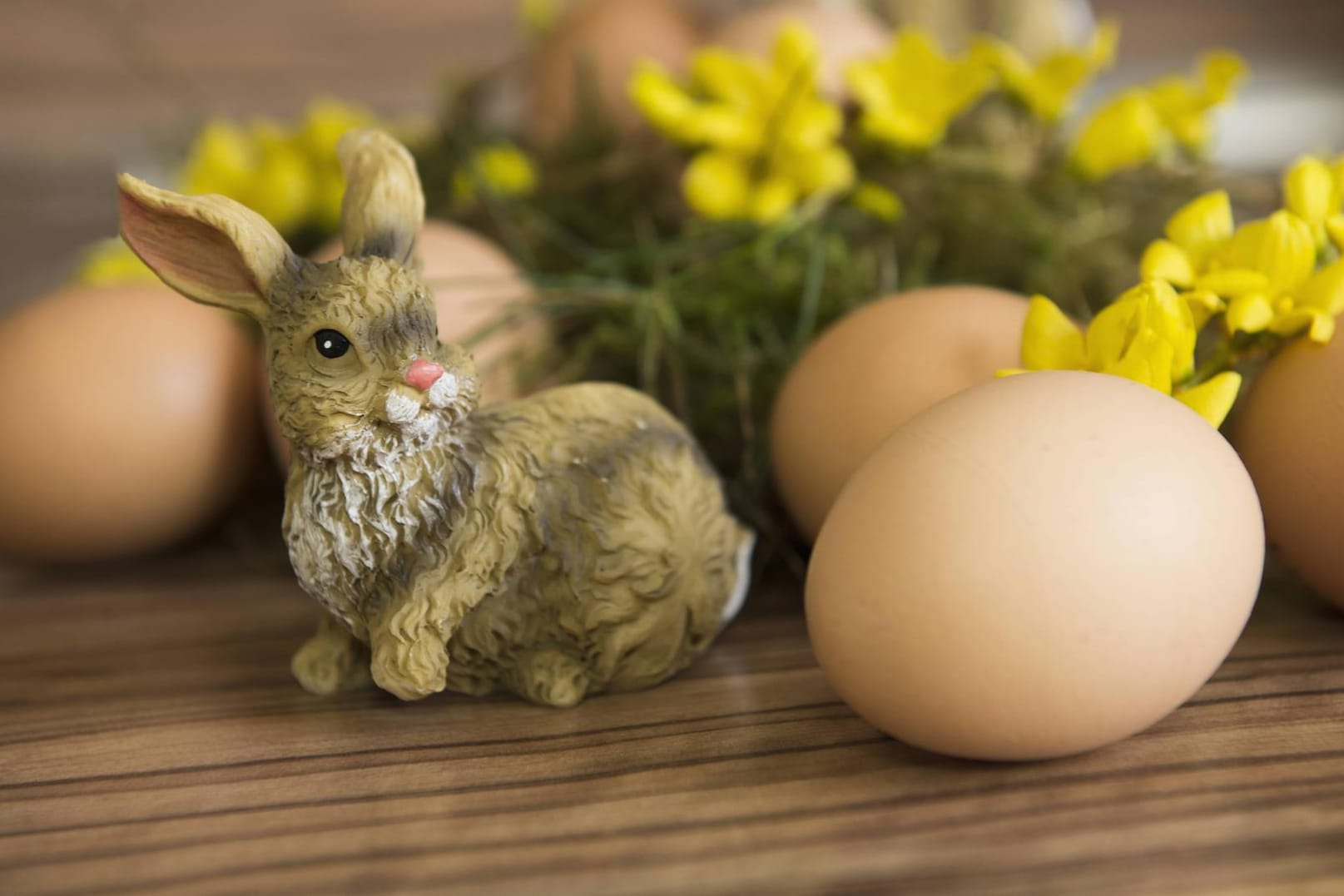 Diese Ostereier müssen noch gefärbt werden. Natürlich vom Osterhasen. (Kleiner Tipp: Weiße Eier nehmen die Farbe besser an).