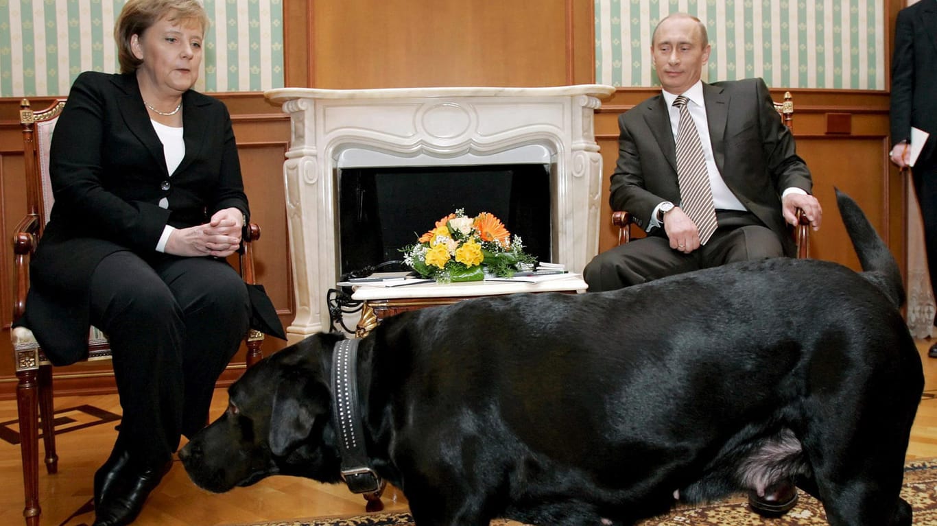 Im Januar 2007 entstand dieses Foto vom Zusammentreffen zwischen Angela Merkel und Putins Hündin Koni.