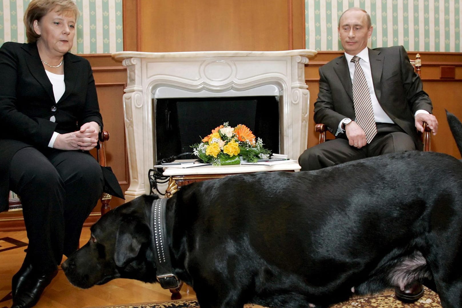 Im Januar 2007 entstand dieses Foto vom Zusammentreffen zwischen Angela Merkel und Putins Hündin Koni.
