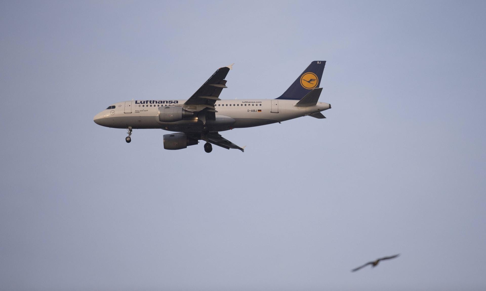 Die Lufthansa verteidigt ihren zwölften Platz aus dem Vorjahr, verpasst aber die Top Ten.