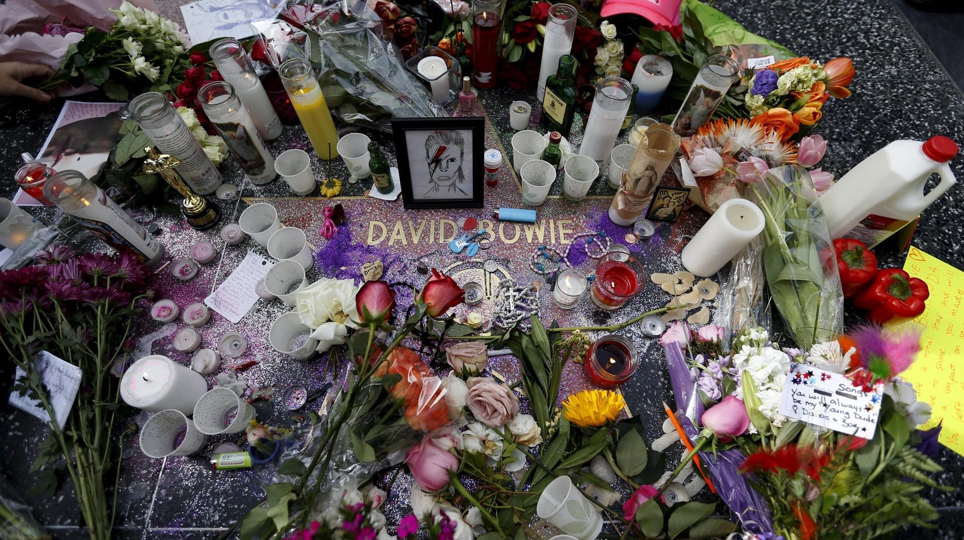 Seinen Stern auf dem Hollywood Walk of Fame schmückten die Fans mit Blumen, Kerzen, Bildern und Geschenken.
