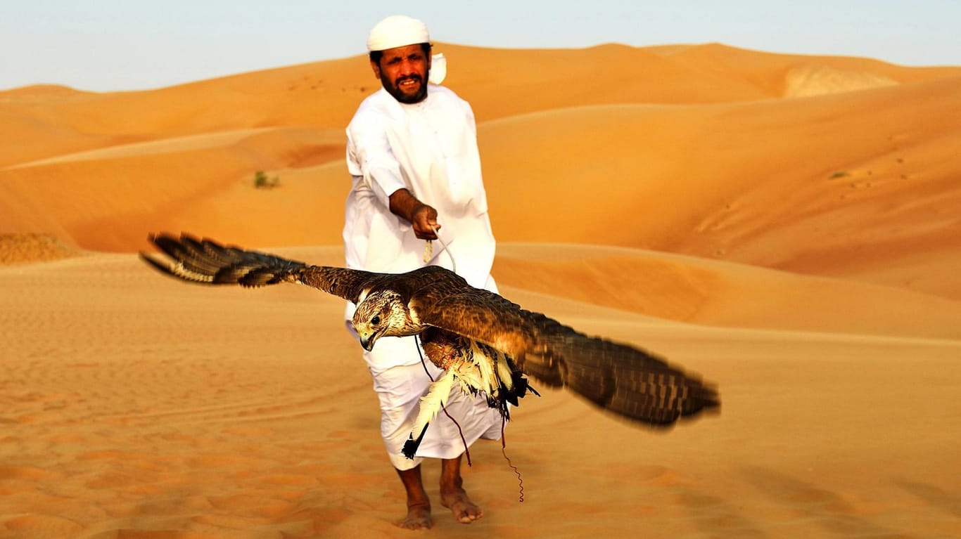 Ein Falkner im Emirat Abu Dhabi mit seinem ganzen Stolz.