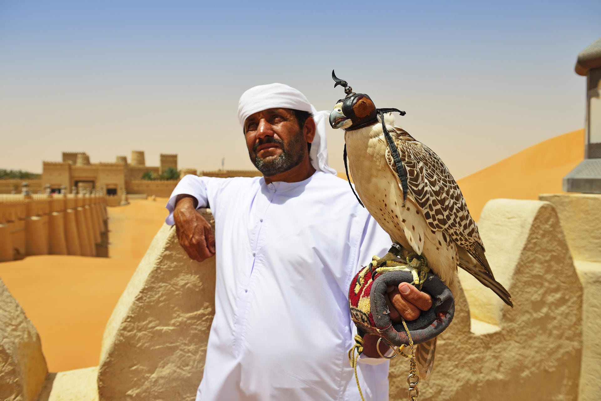 Auch in den Vereinigten Arabischen Emiraten hat die Falknerei eine sehr lange Tradition, lässt sich bis ins 13. Jahrhundert vor Christi belegen.