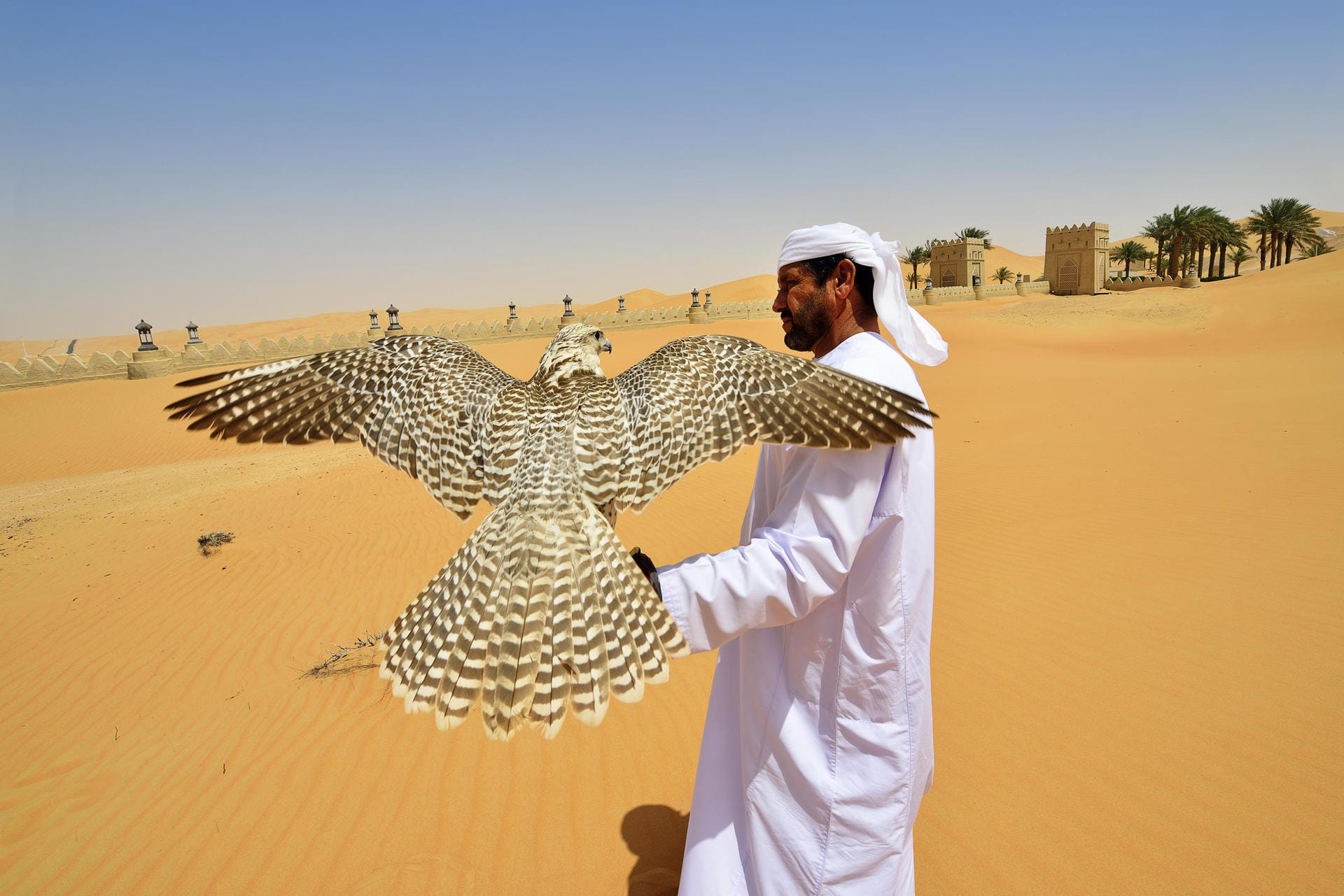 Die Emiratis lieben ihre Falken, behandeln sie wie ihre eigenen Kinder.