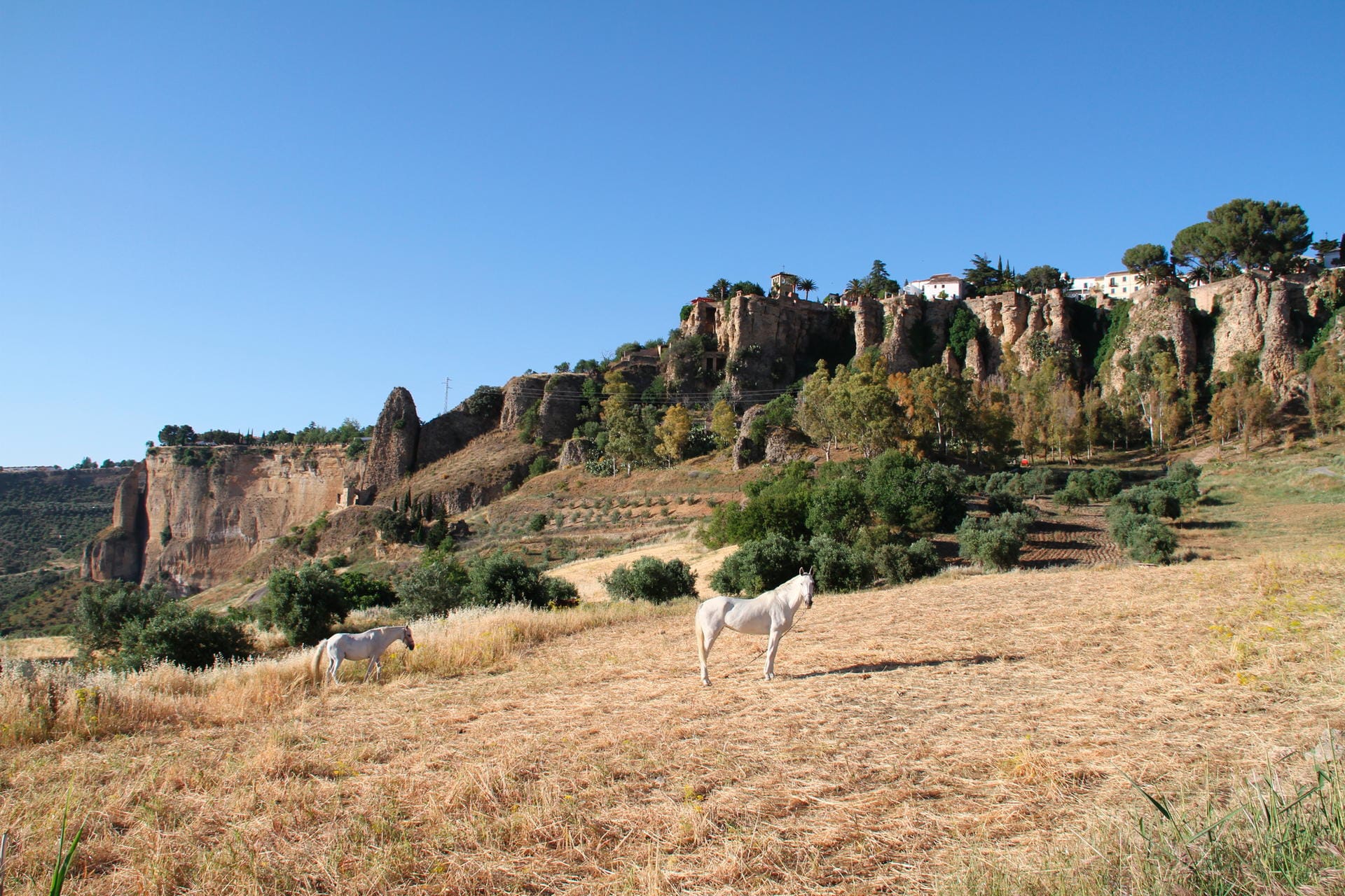 Ronda zählt zu den größten Ortschaften unter den "weißen Dörfern" Andalusiens.