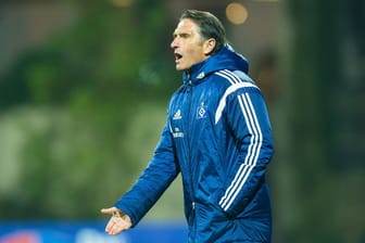 HSV-Coach Bruno Labbadia ist alles andere als zufrieden.