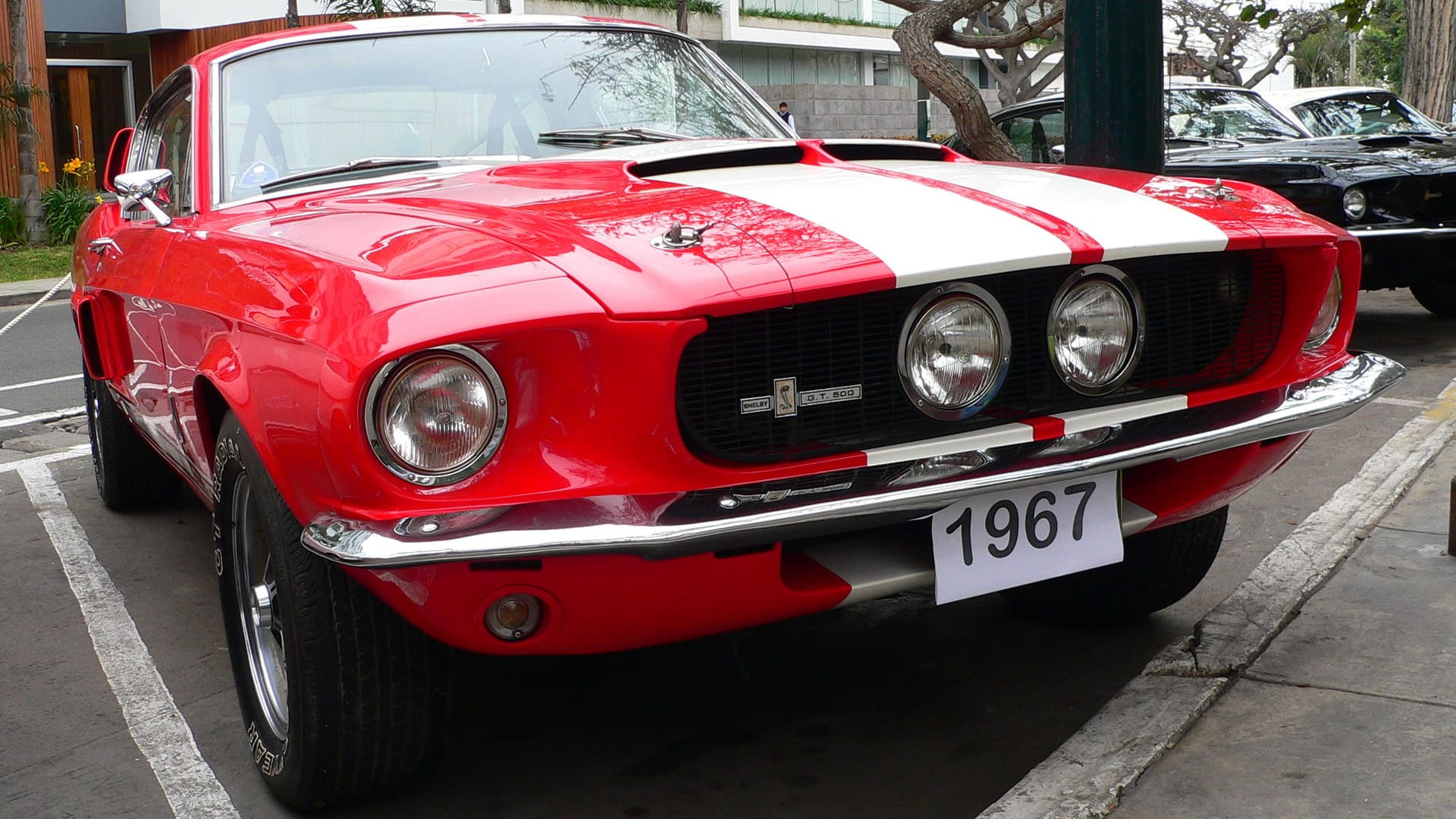 Früher der Favorit im Auto-Quartett, heute steigt man ein: Dieser Ford Mustang von 1969 ist für viele Männer das Traumauto schlechthin. Oft ist er ein lauter, anfälliger und unpraktischer Spritschlucker – aber das spielt beim Kauf keine Rolle.