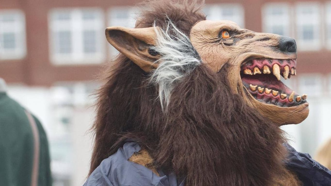 Heutzutage ist der Werwolf ein beliebtes Kostüm für Halloween und Fasching.