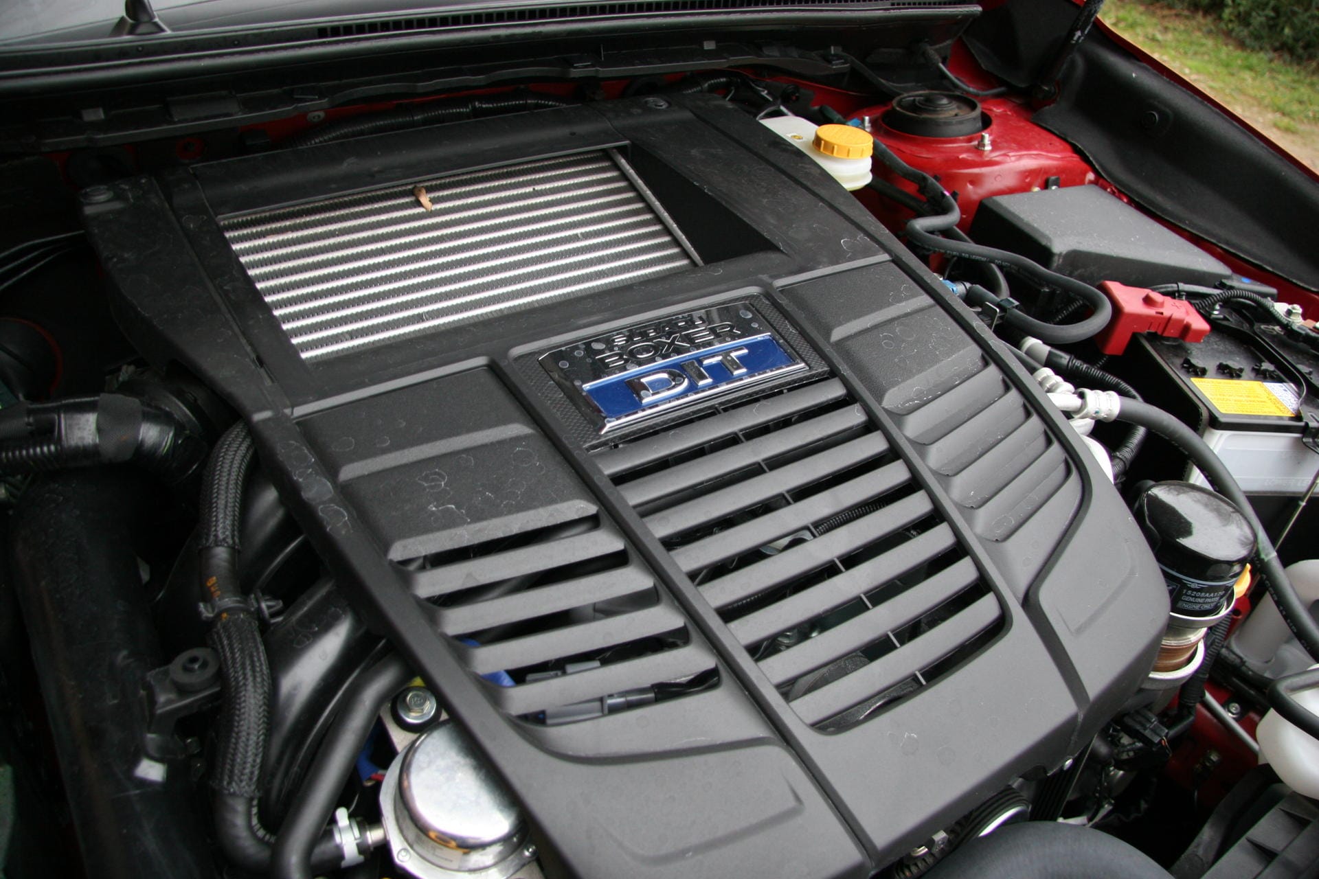 Klar, in einem Subaru arbeitet ein Vierzylinder-Boxer - hier mit 1,6 Litern Hubraum, Turboaufladung und 170 PS.
