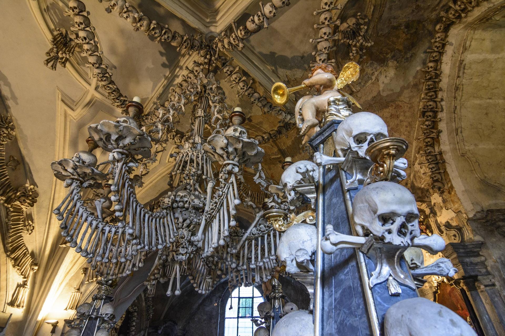 Insgesamt wurden 10.000 Skelette verarbeitet. 40.000 beherbergt das Beinhaus "regulär".