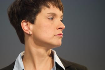 AfD-Chefin Frauke Petry hat einen juristischen Sieg errungen.