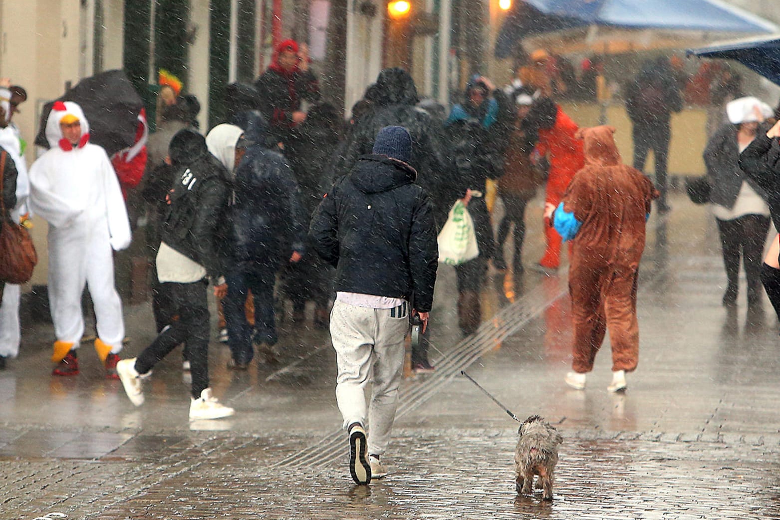 Ins Wasser gefallen: der Rosenmontag in Düsseldorf.