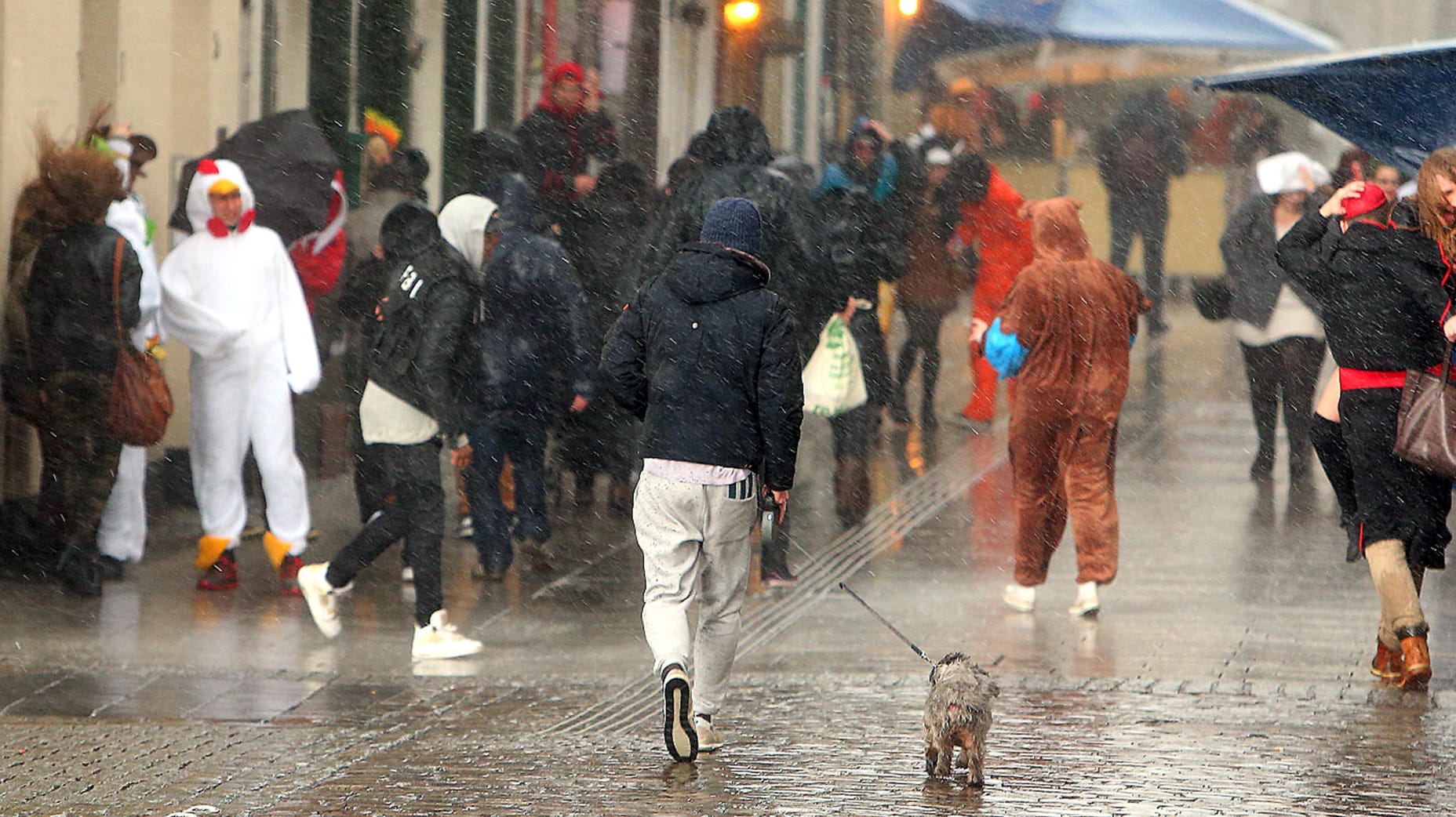 Ins Wasser gefallen: der Rosenmontag in Düsseldorf.