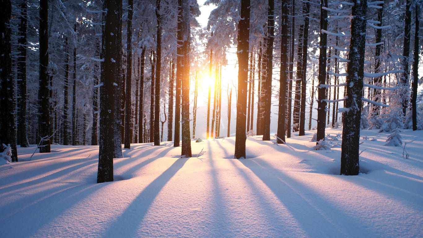 Im Winter Mangelware: Sonnenlicht.
