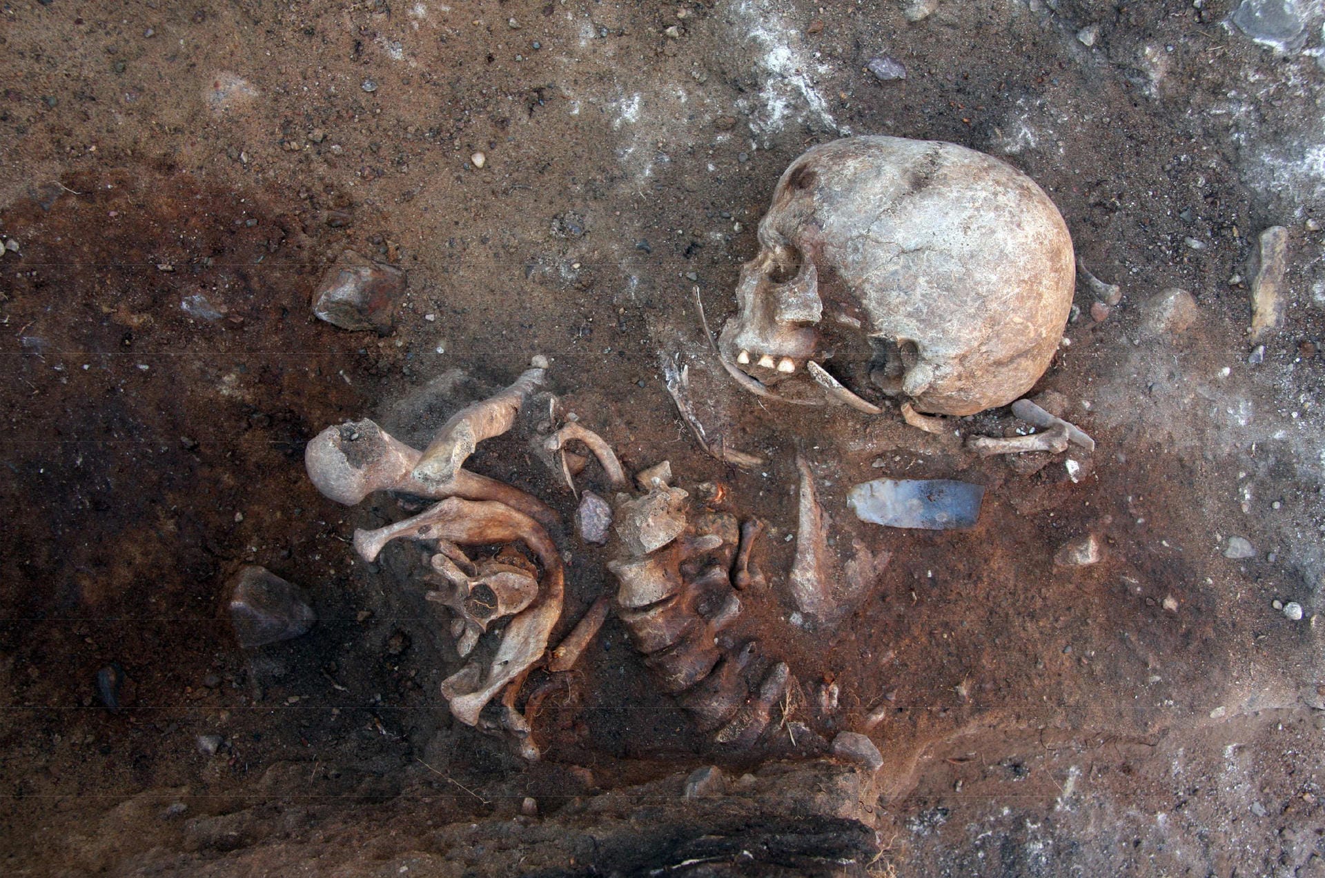 Bei archäologischen Nachgrabungen auf einem Berg nahe Groß Fredenwalde in der Uckermark (Brandenburg) wurde der Friedhof entdeckt.