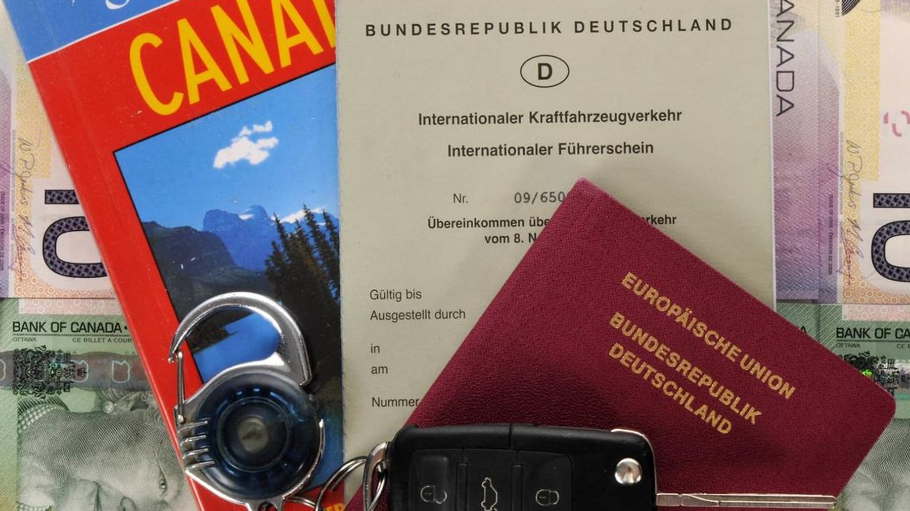 Internationaler Führerschein: Antrag, Kosten, Gültigkeit