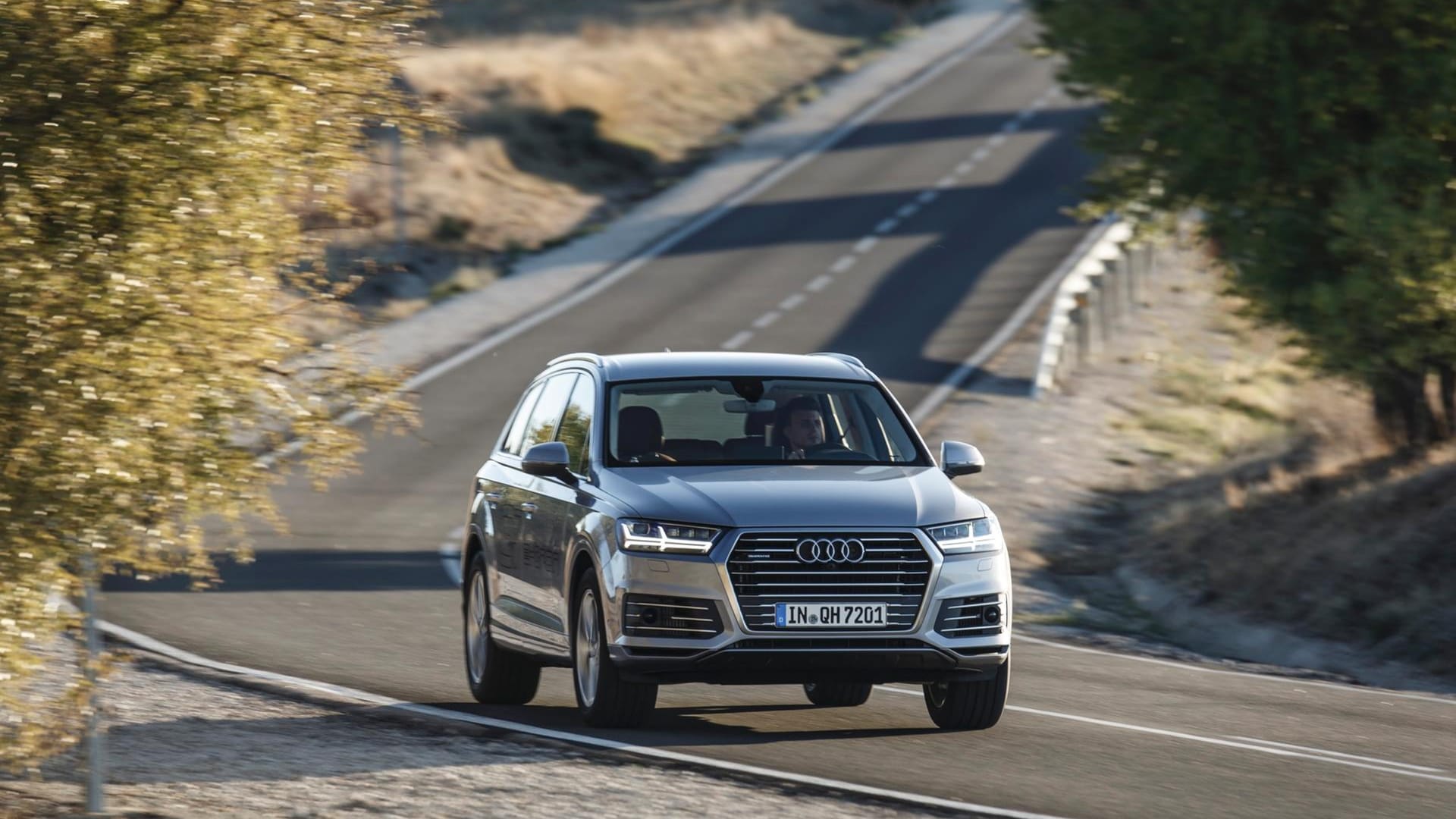 Audi Q7 e-tron: Bis zu 56 Kilometer elektrische Reichweite, in 6,2 Sekunden von 0 auf 100 km/h, maximal 225 km/h. Im Mittel soll der Q7 1,8 Liter Diesel pro 100 Kilometer verbrauchen. Der Q7 kostet 80.500 Euro.