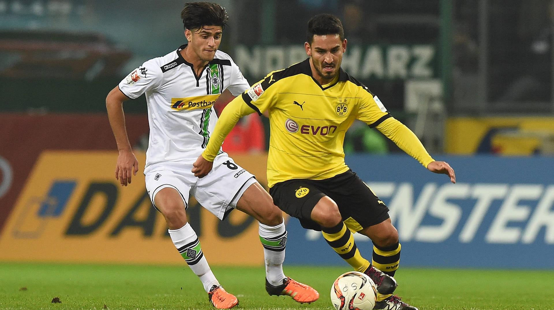 Gladbachs Mahmoud Dahoud (li.) folgt Ilkay Gündogan - auch auf ihn beim BVB? Gladbachs Mahmoud Dahoud (li.) folgt Ilkay Gündogan - auch auf ihn beim BVB?