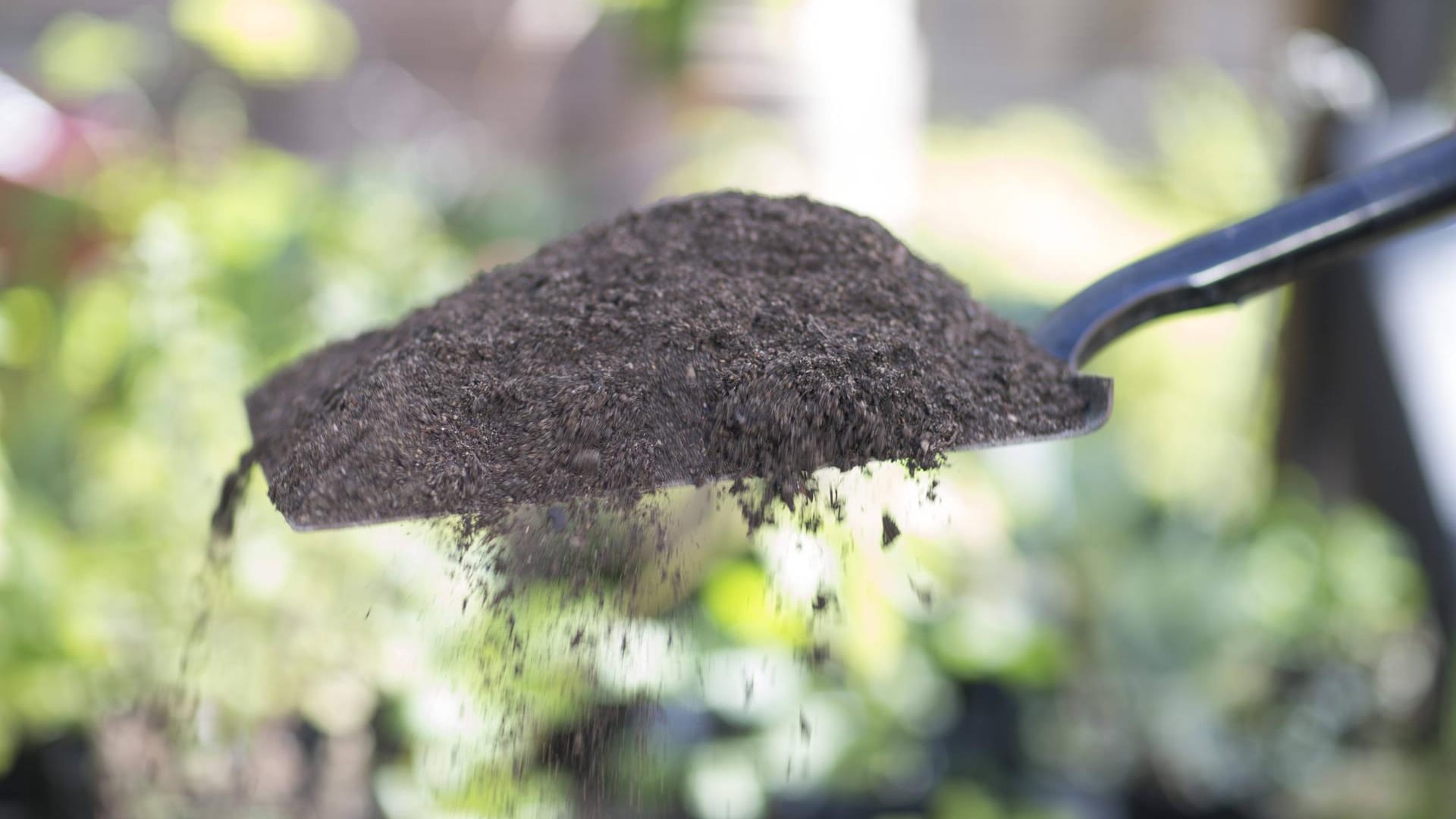 Mit dem richtigen Gartenwerkzeug läuft die Arbeit besser.