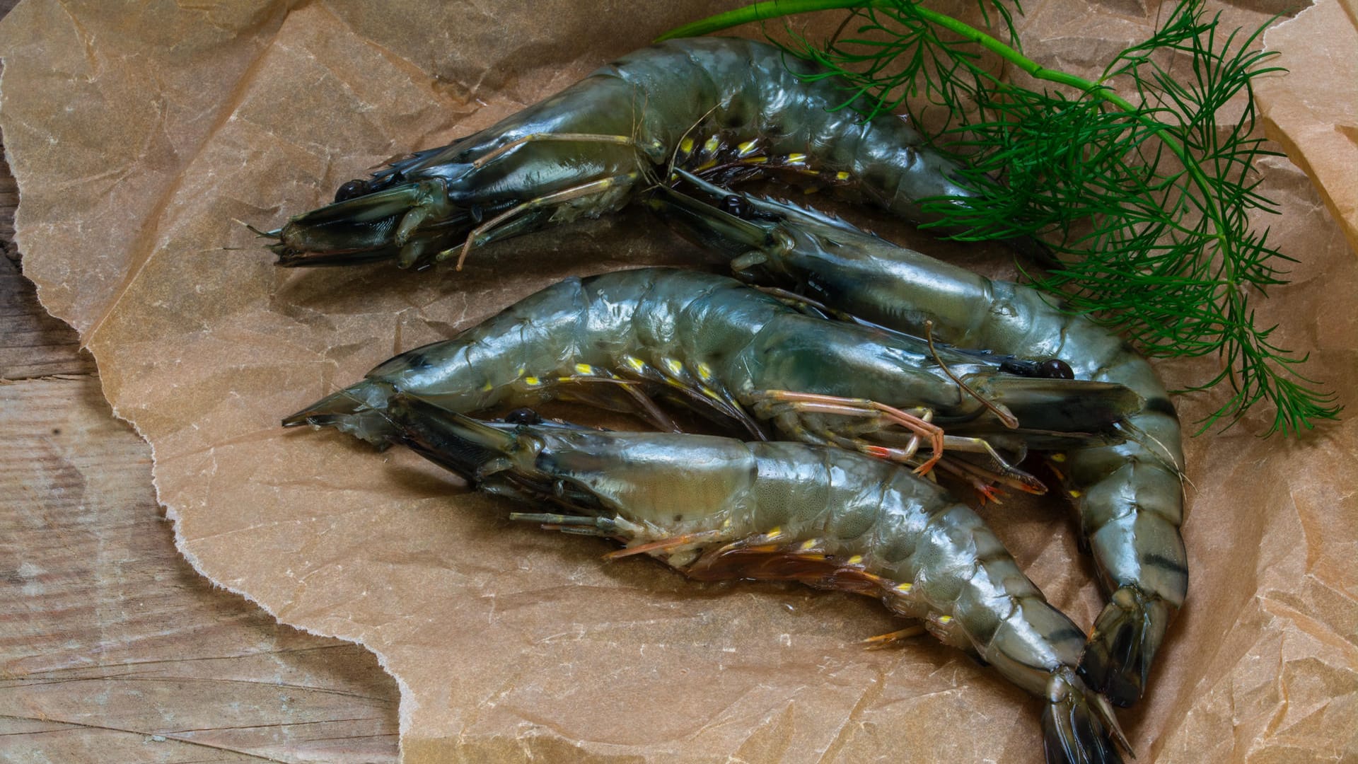 Schwarze Tigergarnelen sind eine besondere Züchtung.