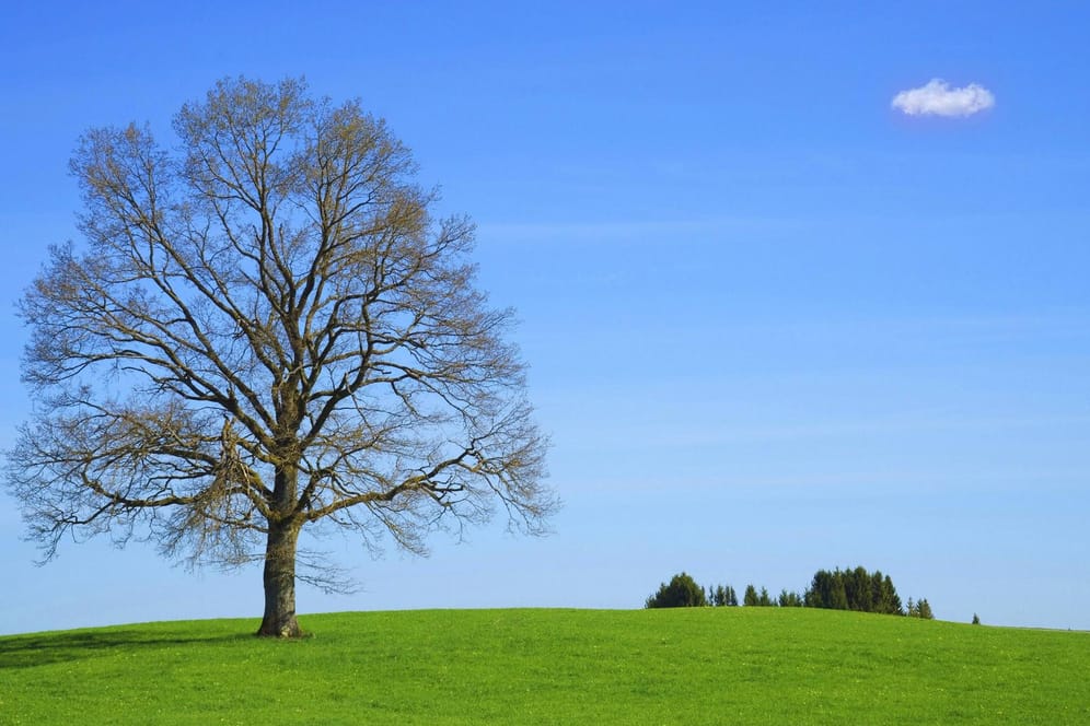 Blauer Himmel: Der physikalische Effekt der Rayleigh-Streuung sorgt dafür, dass wir den Himmel blau wahrnehmen.