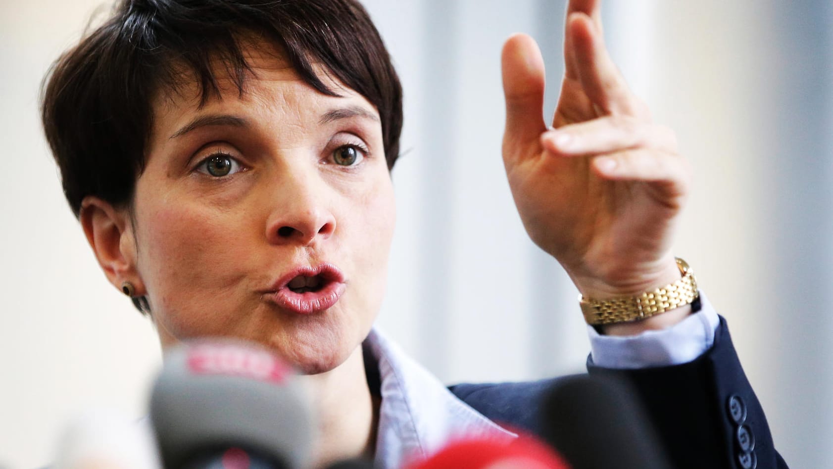 Die Vorsitzende der Alternative für Deutschland, Frauke Petry, kritisiert die Drohungen gegen das Frankfurter Hotel, in dem eigentlich eine Pressekonferenz der AfD stattfinden sollte.