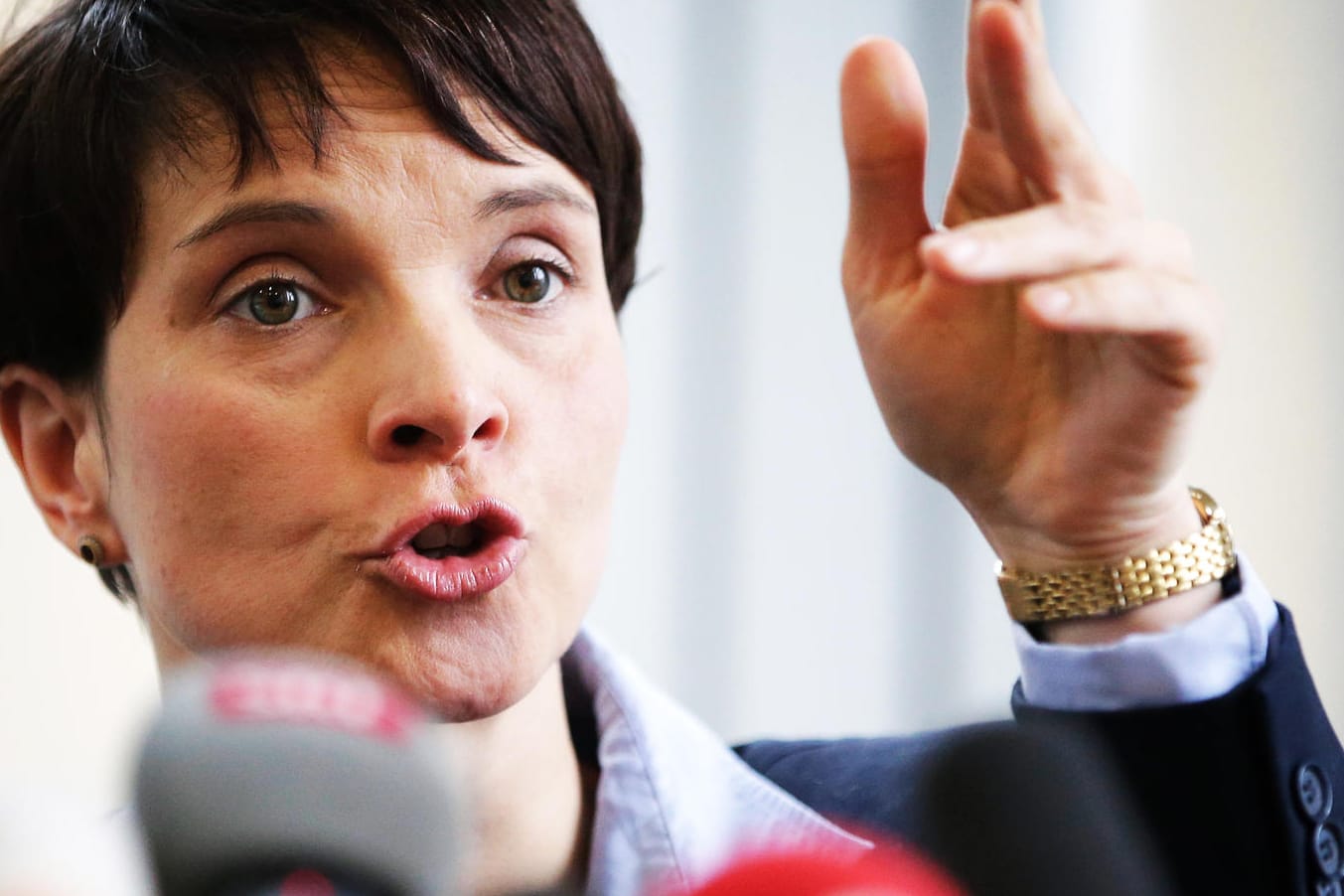 Die Vorsitzende der Alternative für Deutschland, Frauke Petry, kritisiert die Drohungen gegen das Frankfurter Hotel, in dem eigentlich eine Pressekonferenz der AfD stattfinden sollte.