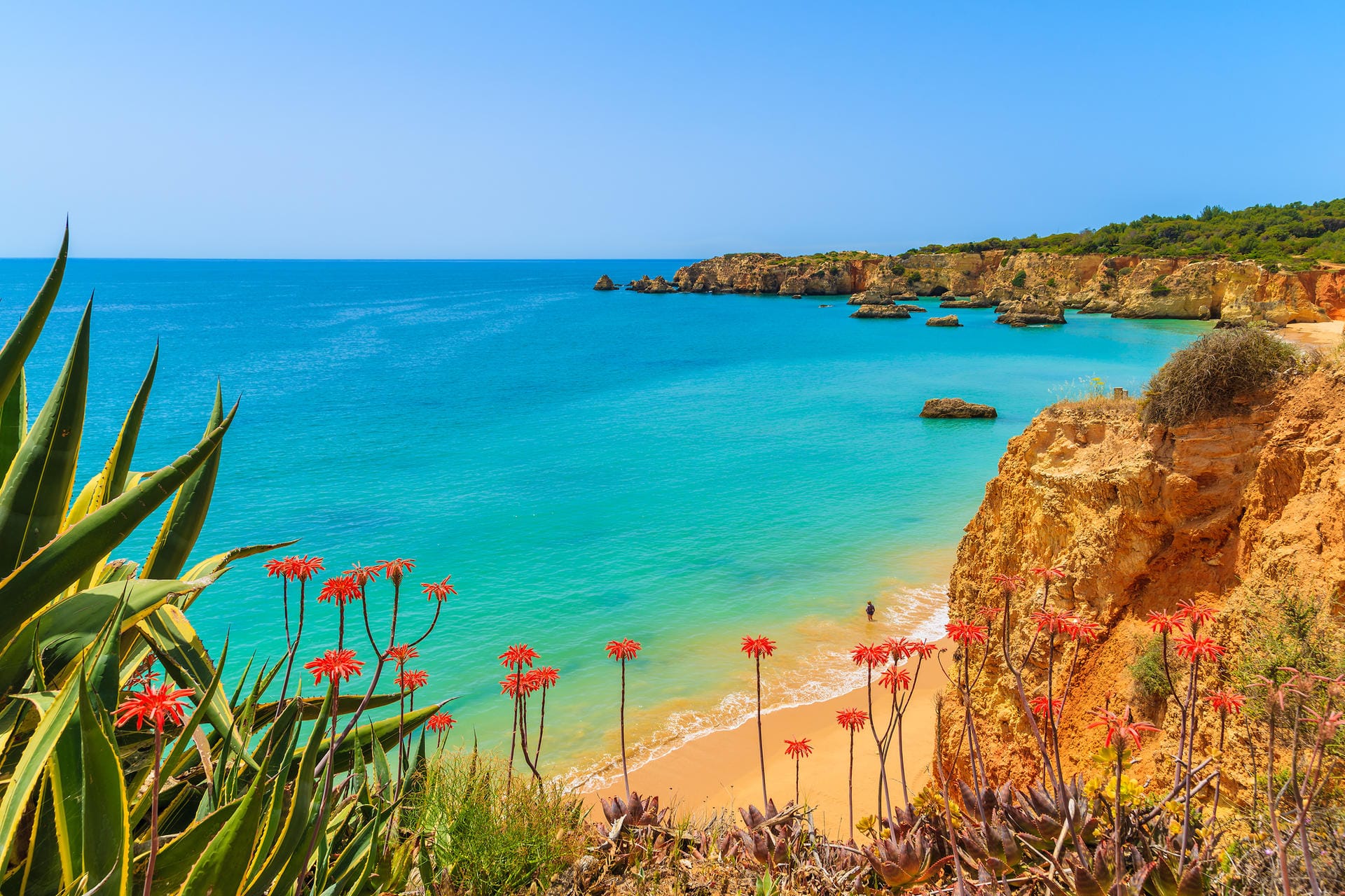 Die Algarve ist die südlichste Region Portugals und eins der südlichsten Urlaubsziele auf europäischem Festland. Kein Wunder also, dass man hier schon im Frühjahr warme Temperaturen erwarten darf.