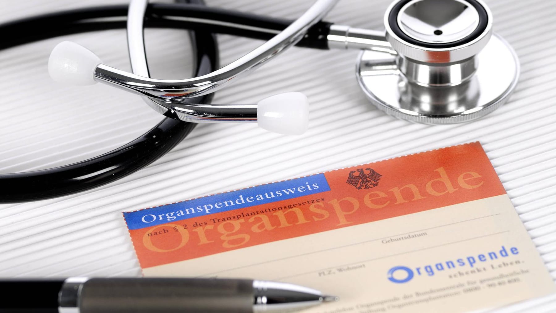 Organspende Welche Organe kann man spenden?