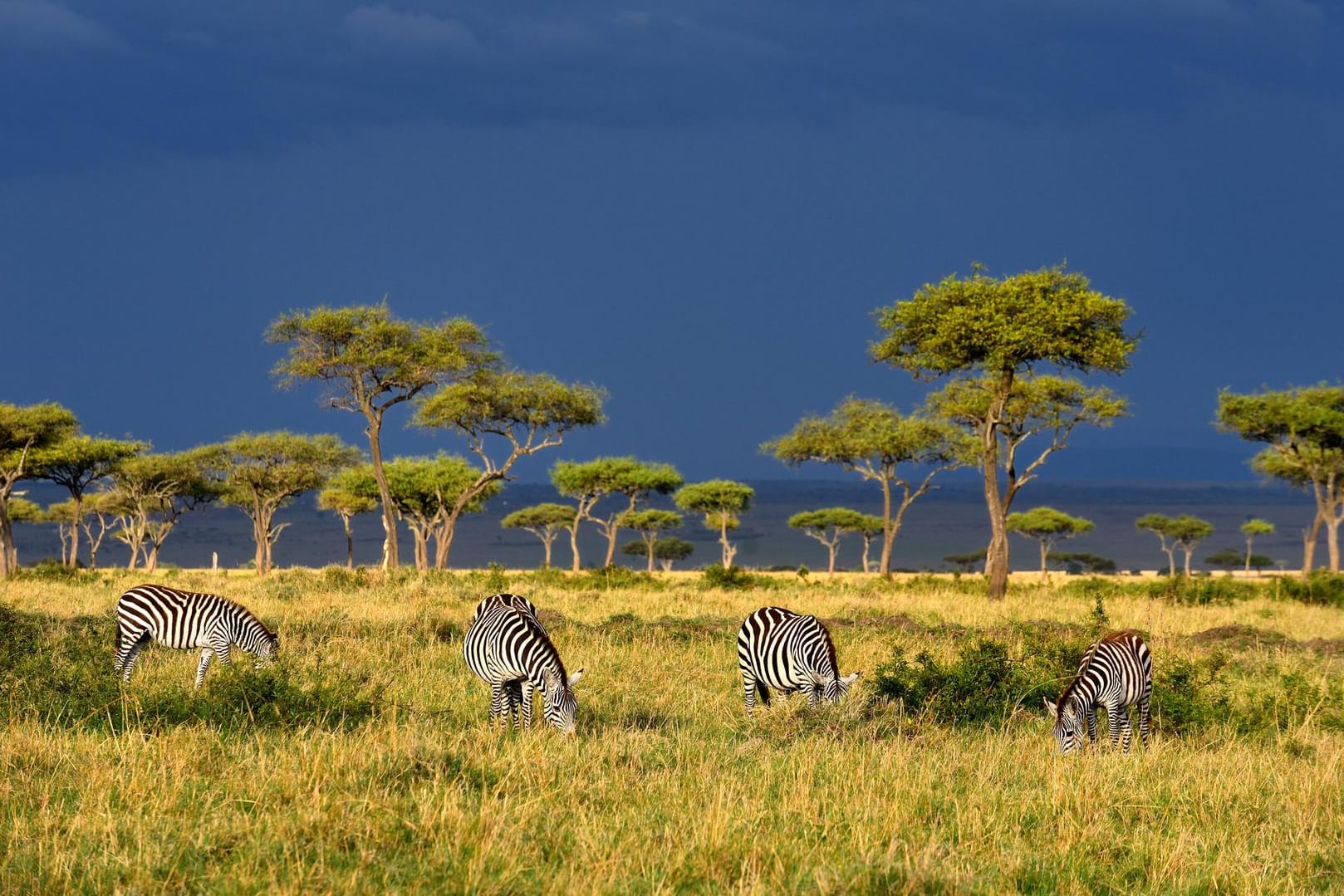 Kenia überzeugt durch beeindruckende Landschaften und eine vielfältige Tierwelt.