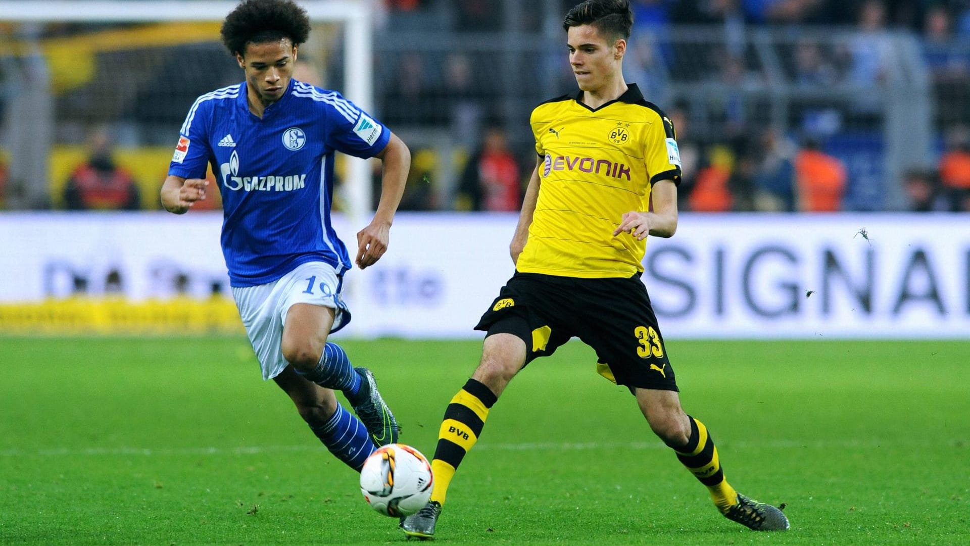 Top-Talente: Der Schalker Leroy Sané (links) und der Dortmunder Julian Weigl (rechts) wurden einst beim FC Bayern für nicht gut genug befunden. Top-Talente: Der Schalker Leroy Sané (links) und der Dortmunder Julian Weigl (rechts) wurden einst beim FC Bayern für nicht gut genug befunden.
