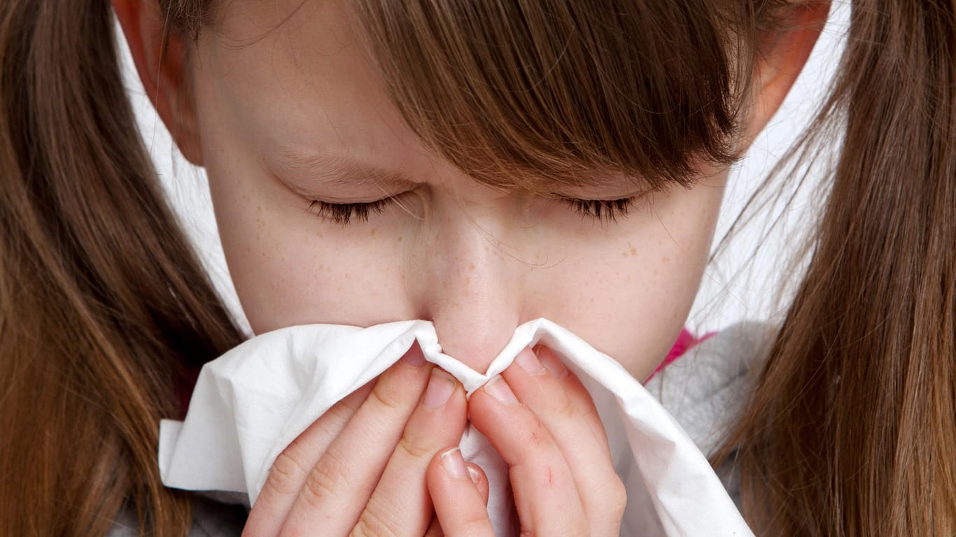 Wenn die Nase läuft, kann das sowohl an einer Erkältung als auch an einer Allergie liegen.