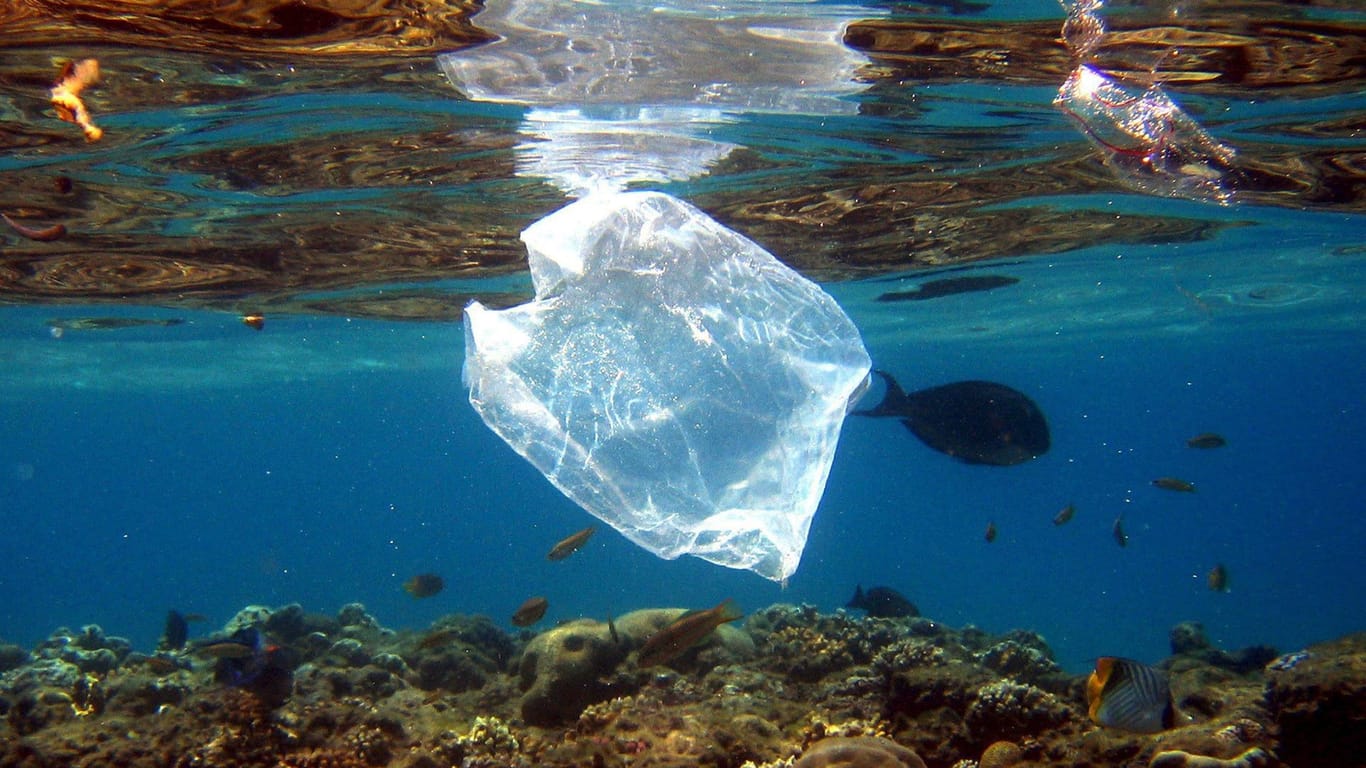 Plastiktüten schwimmt im Meer