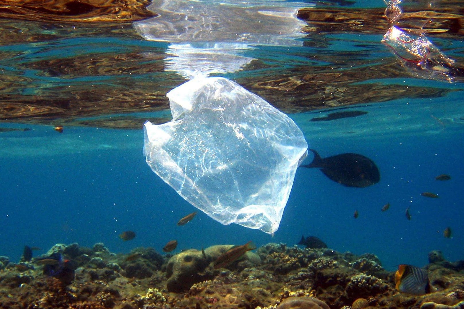 Plastiktüten schwimmt im Meer