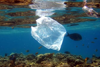 Plastiktüten schwimmt im Meer