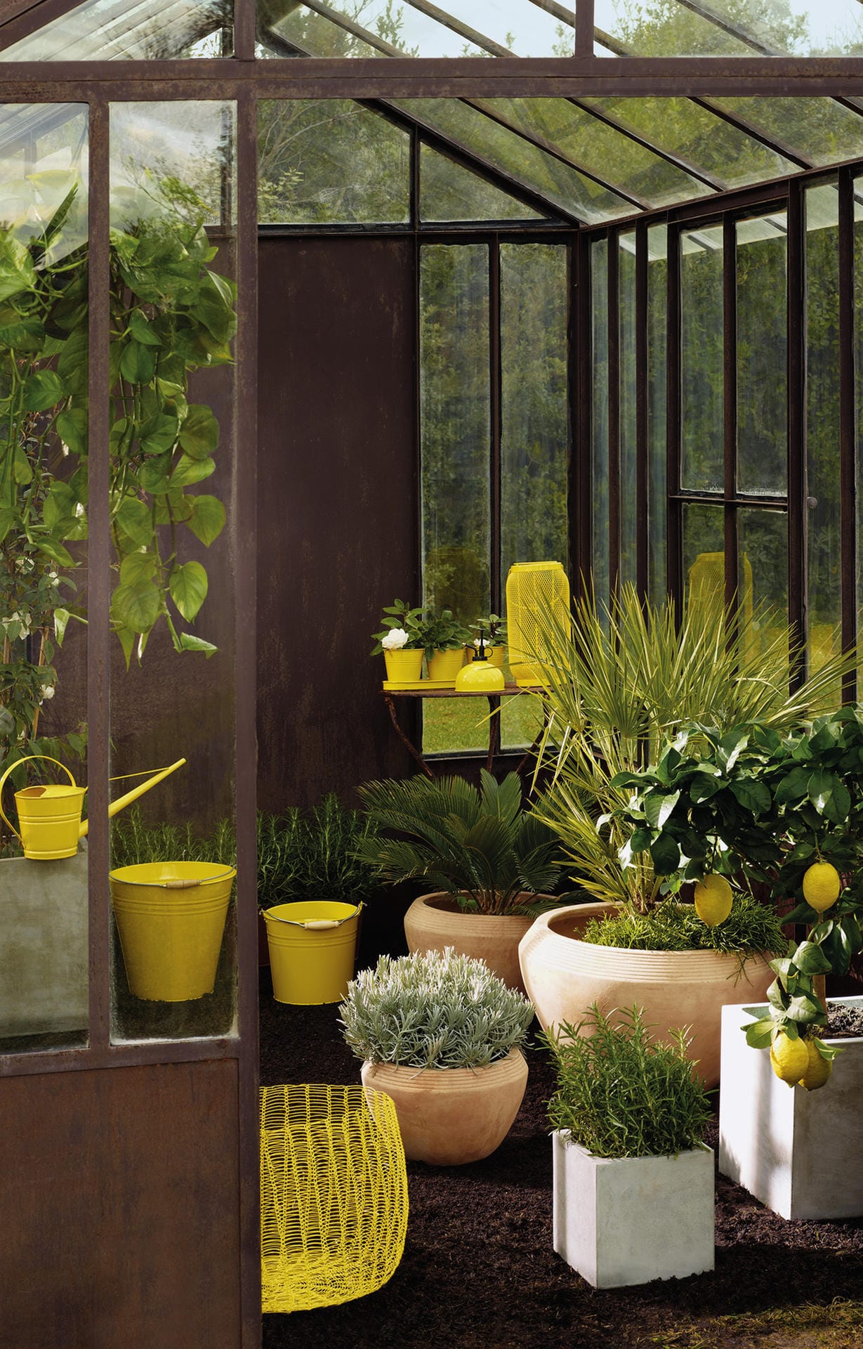 Die Trendfarbe für Garten- und Wohnaccessoires im Freien ist 2016 Gelb.