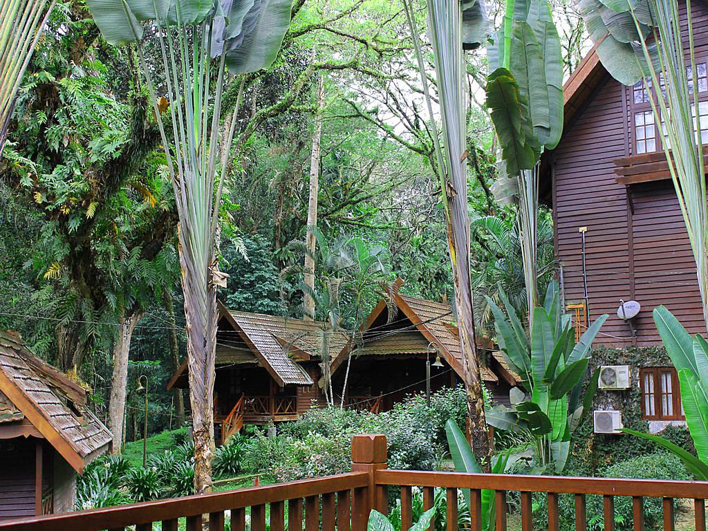 Das "Hotel Mutiara Taman Negara Resort" in Kuahla Tahan/Malaysia ermöglicht Urlaubstage inmitten eines unberührten Dschungels. Auf dem Weg zu den Hütten sind Begegnungen mit Tapiren, Äffchen oder zahmen Wildschweinen möglich.
