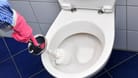 Eine Kloschüssel wird geputzt: Mit etwas Waschmittel wird die Toilette strahlend rein.